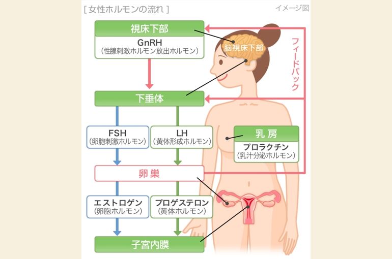 Screenshot_20220115-205259_Internet
